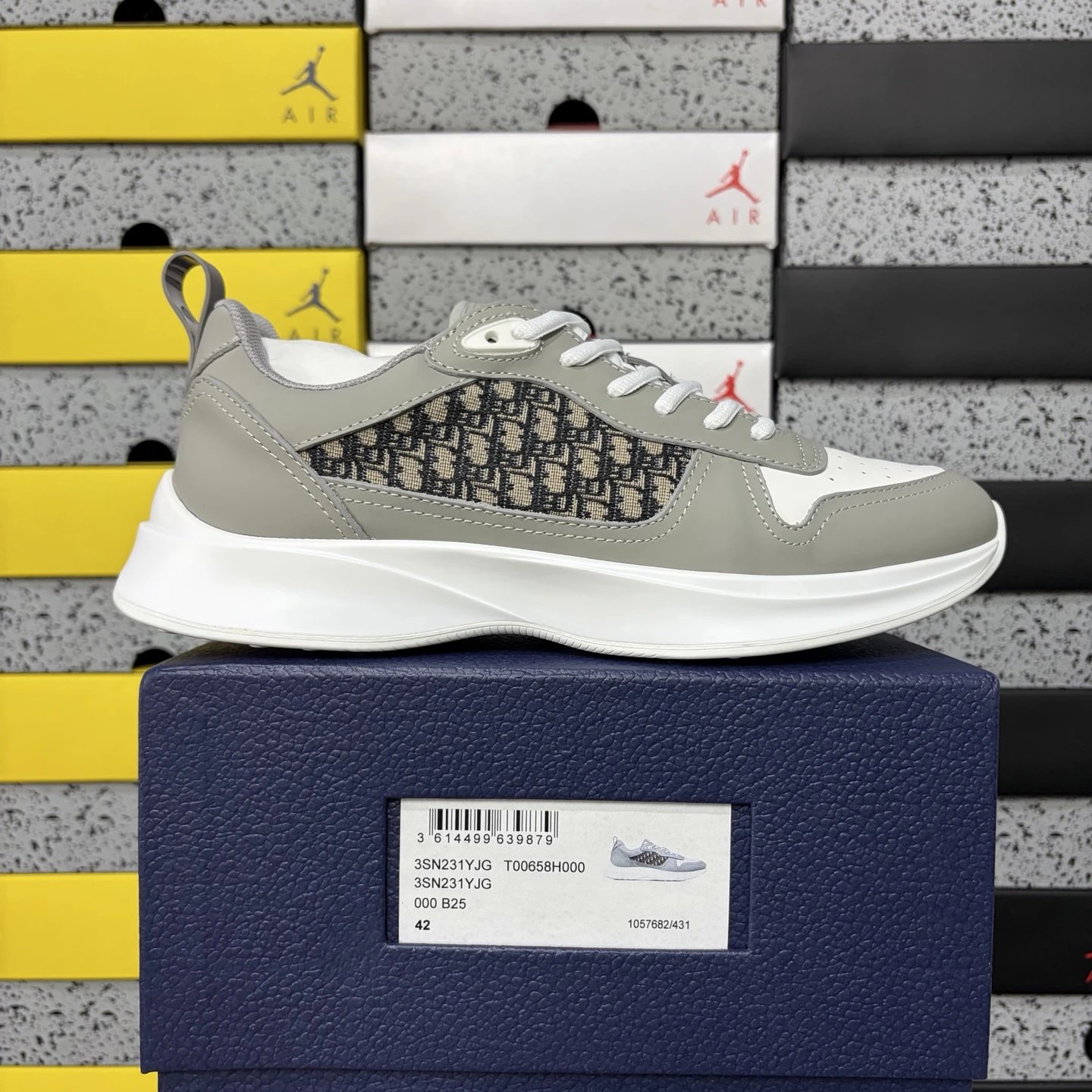 Dior B25 Low Grey Dior Oblique 3SN231YJG