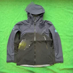 thumbnail for 鲨鱼