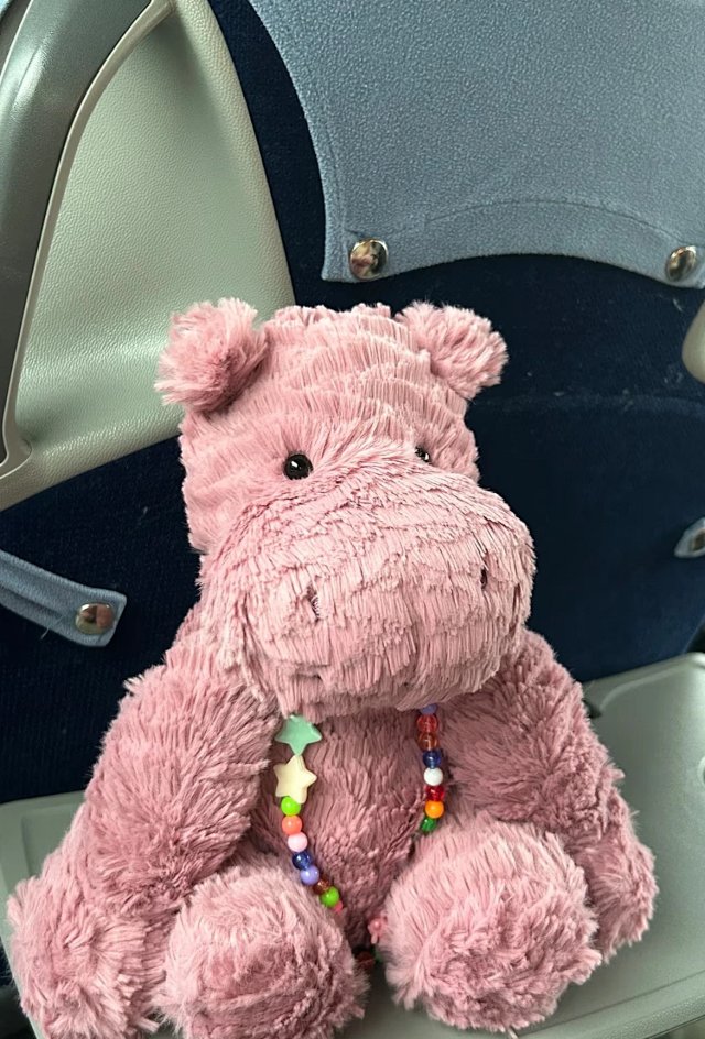  Jellycat Jellycat Pink Hippo Plush Toy Soft Velvet Stuffed Animal - Buy on Kakobuysheetfind