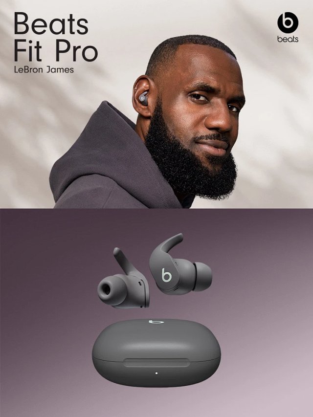 Beats Beats Fit Pro Dark Gray Wireless Noise Cancelling Earbuds - Buy on Mulebuy Sheets