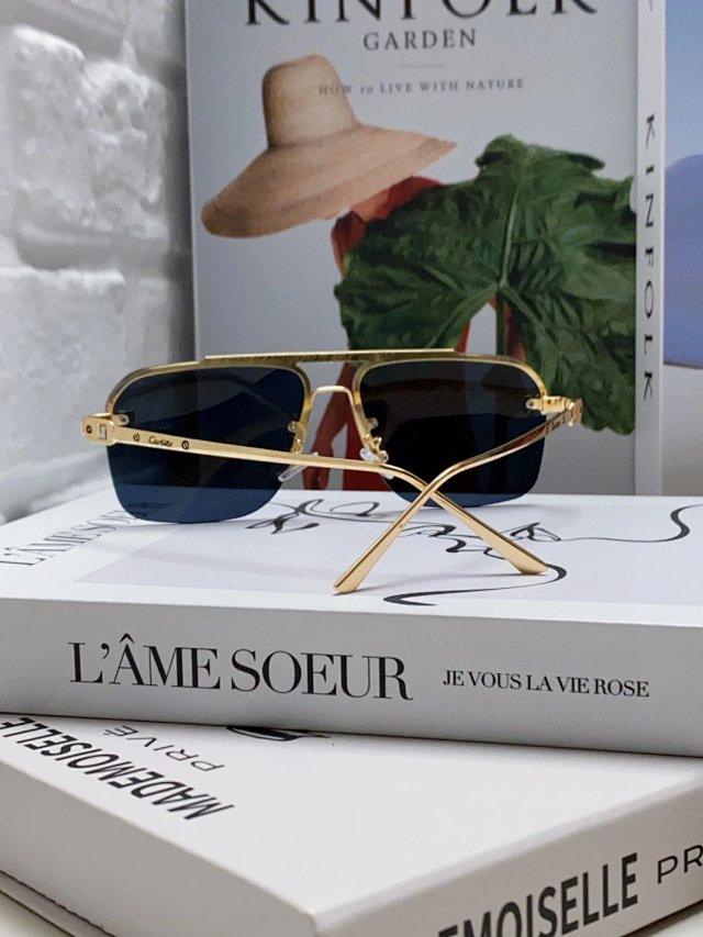 Cartier Cartier Santos Gold Blue Gradient Sunglasses - Buy on Kakobuysheetfind