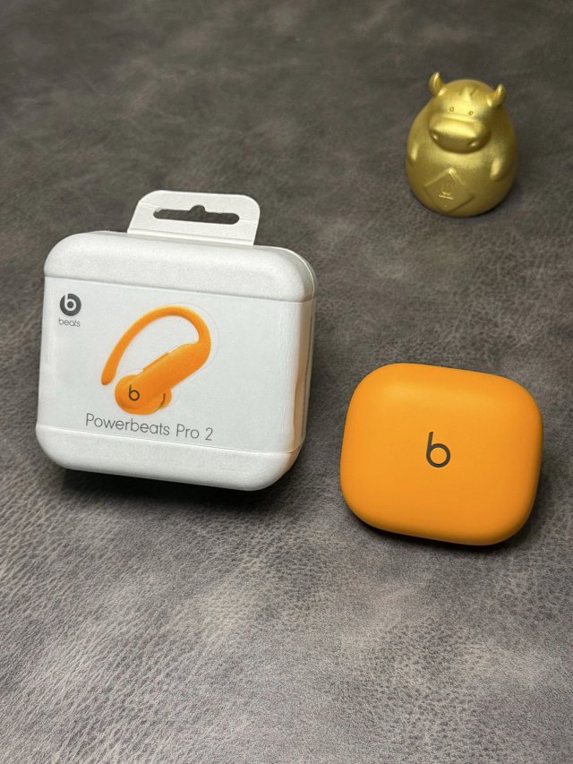Beats ElectronicBeats Powerbeats Pro 2 Orange Wireless Earbuds - Buy on Mulebuy Sheets