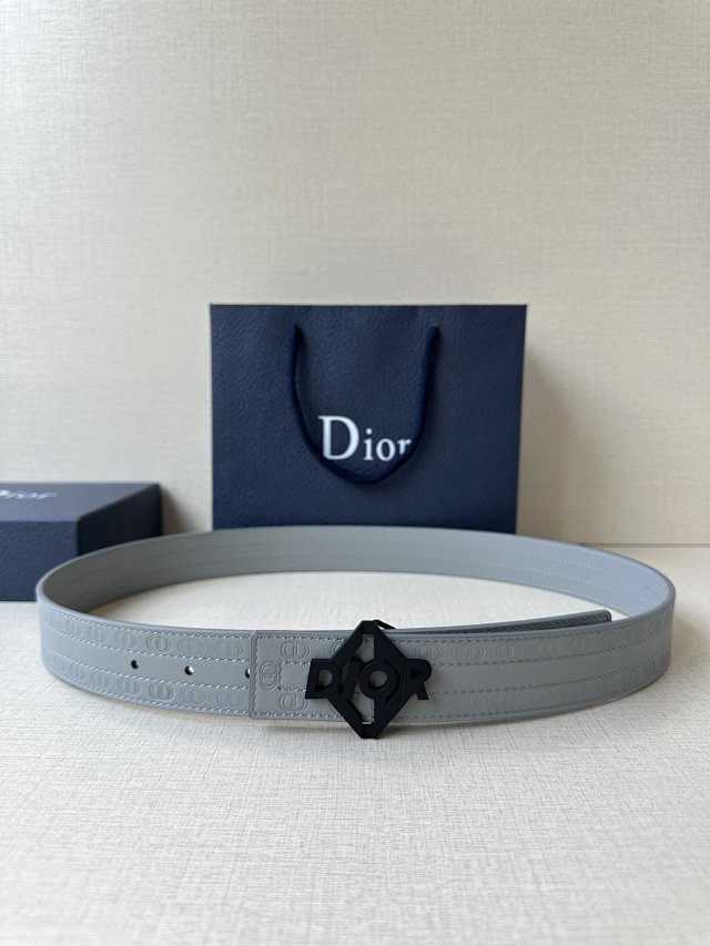 Dior Grey Calfskin Belt Black Metal Buckle