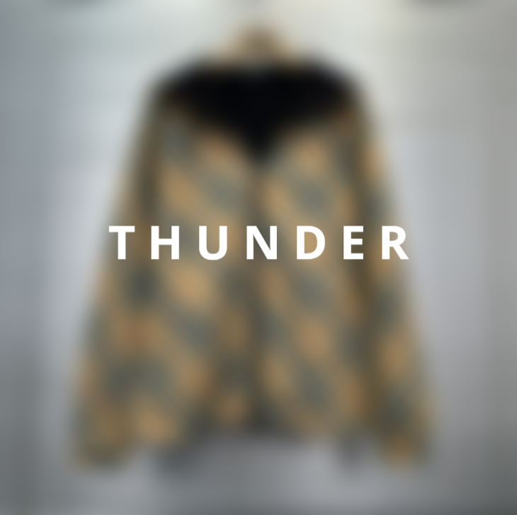 Reversible Jacket