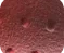 3 Red Gradient HQ4307-601