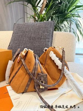 LV Louis Vuitton Bag: seller detail photo 2