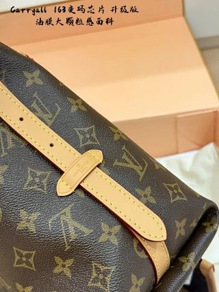LV Louis Vuitton Bag: seller detail photo 5