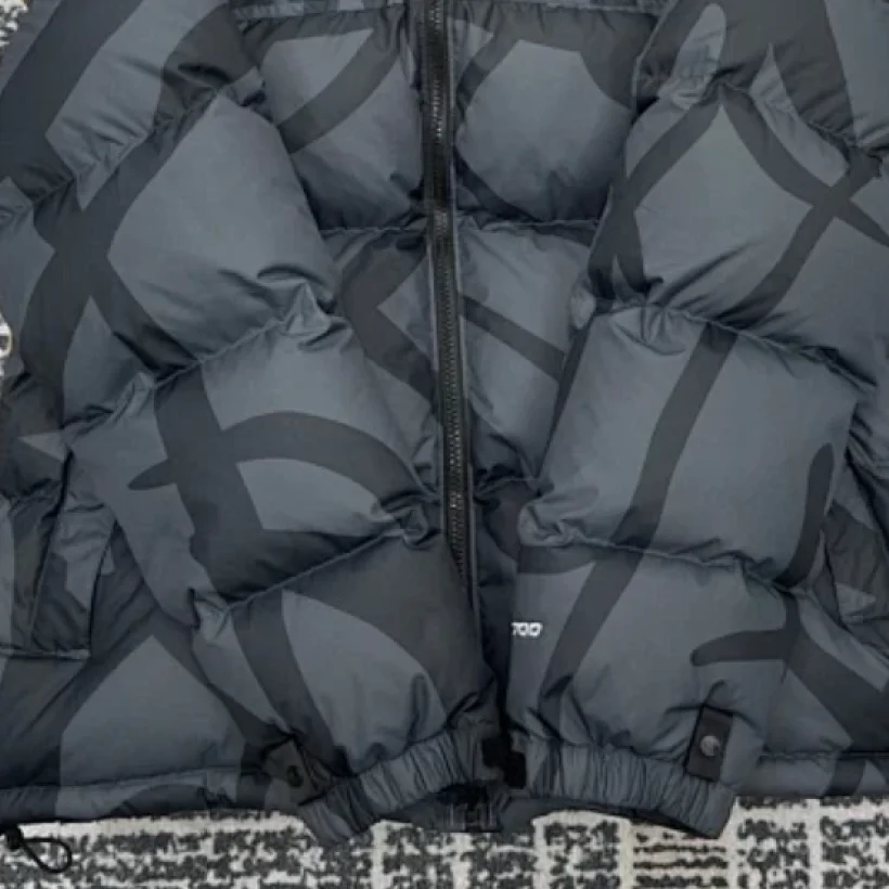 Kaws-TheNorthFace Puffer