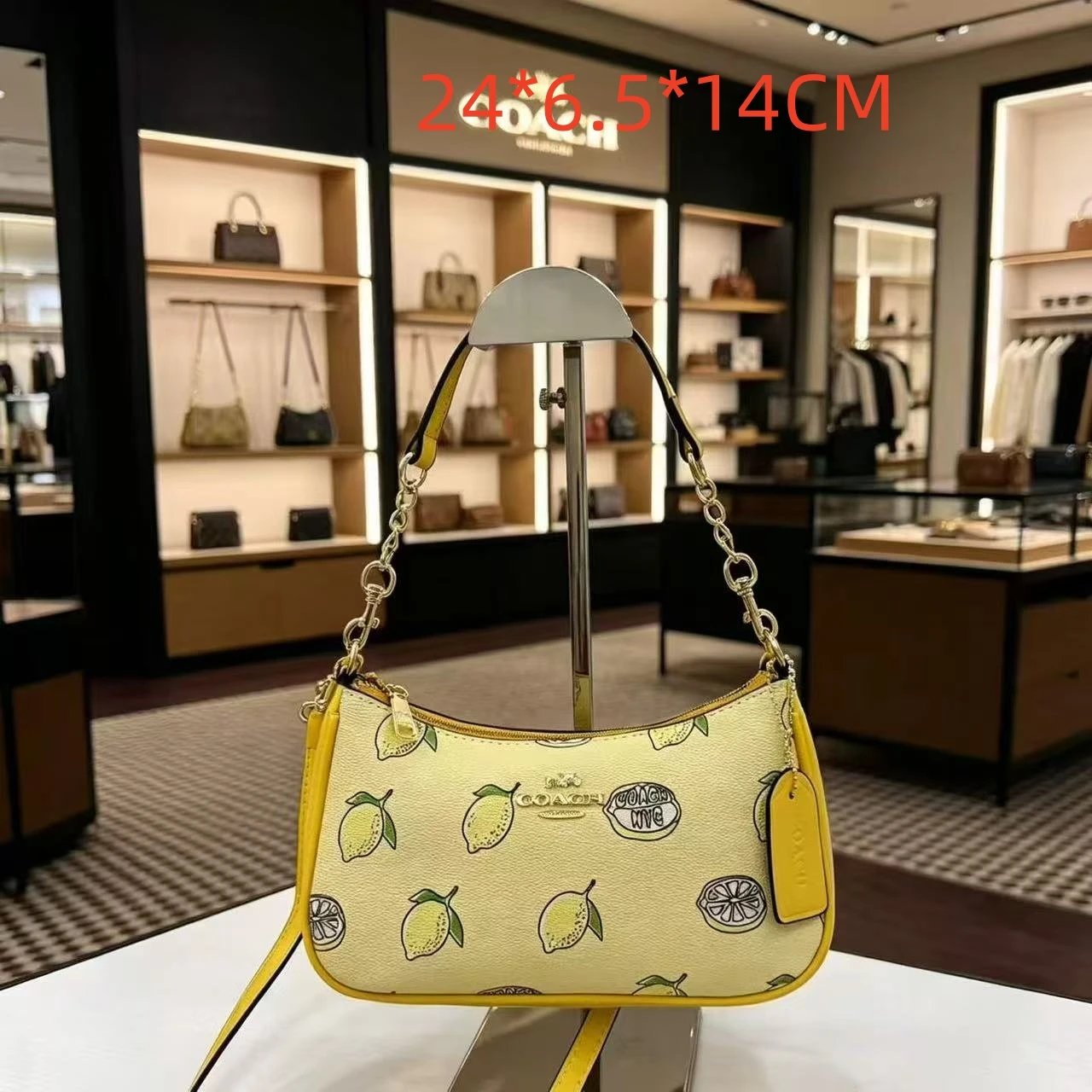 Coach Shoulder Bags Teri Signature Canvas Chain Bag — 15