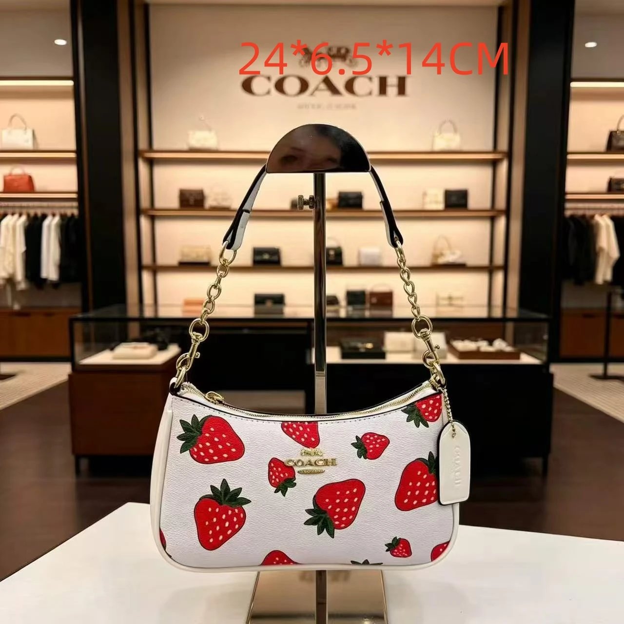 Coach Shoulder Bags Teri Signature Canvas Chain Bag — 10