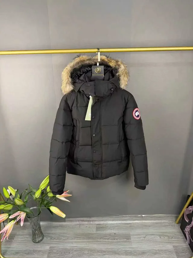 Canada Goose Down Jackets Quilted puffer jacket with Arctic Program sleeve patch product detail image 21