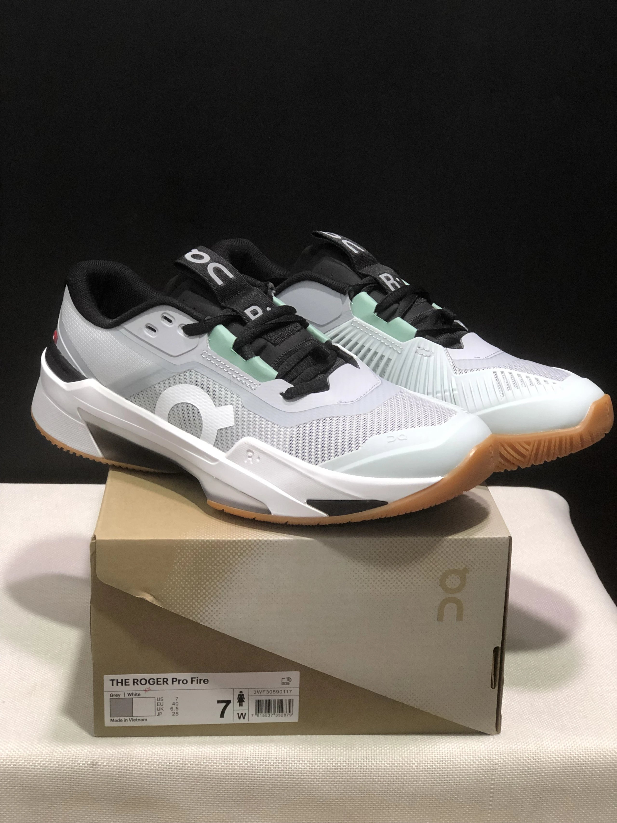 On Cloudsurfer Max / THE ROGER Pro Fire — 29