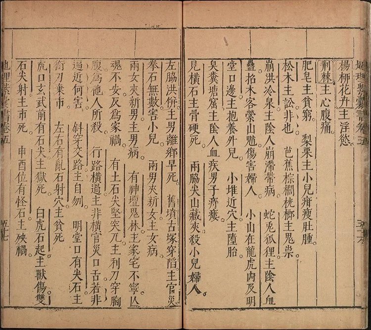 新刊地理紫囊书插图3