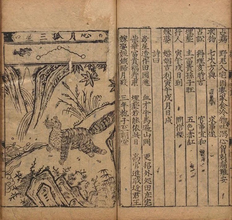 新刊禽遁大全插图3