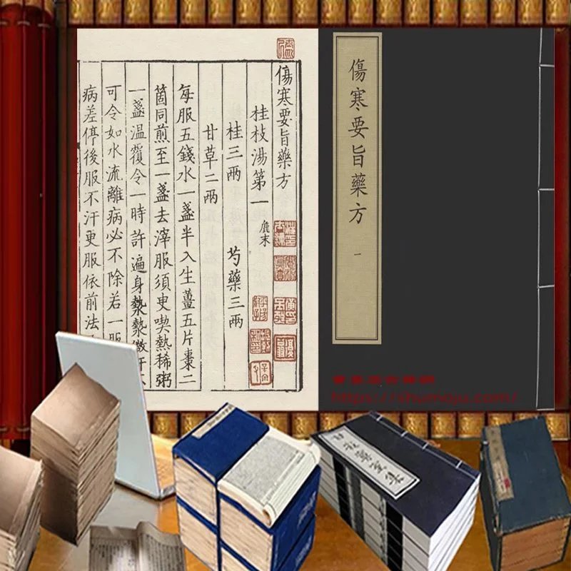 伤寒要旨药方插图