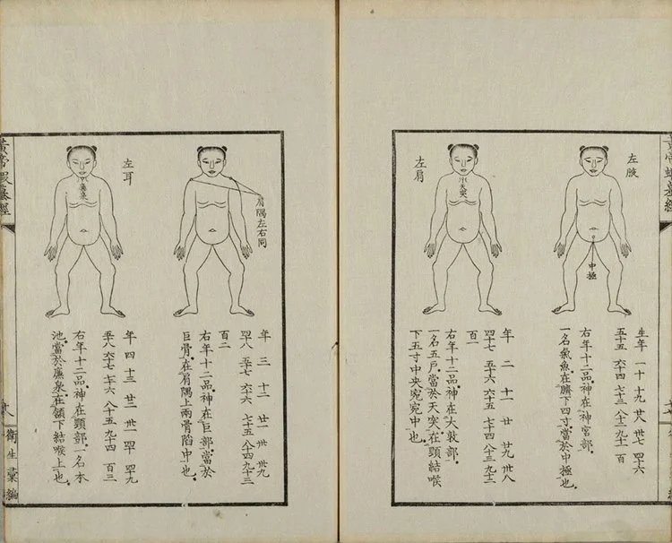 黄帝蝦蟇经 黄帝虾蟆经插图2
