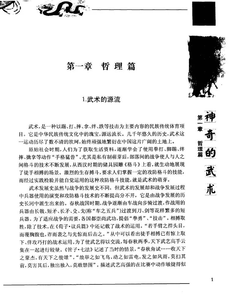 神奇的武术插图3