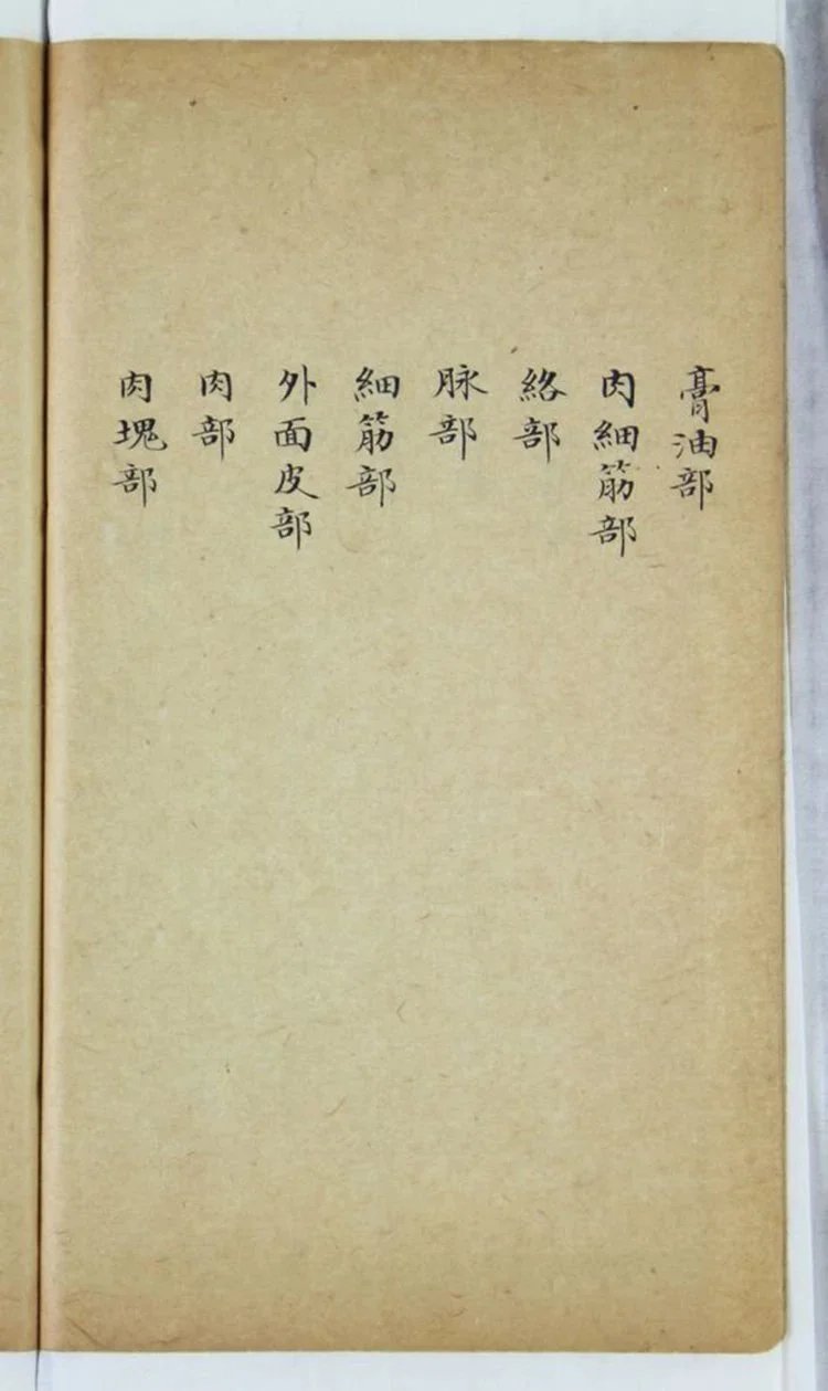 泰西人身说概 人身图说插图2