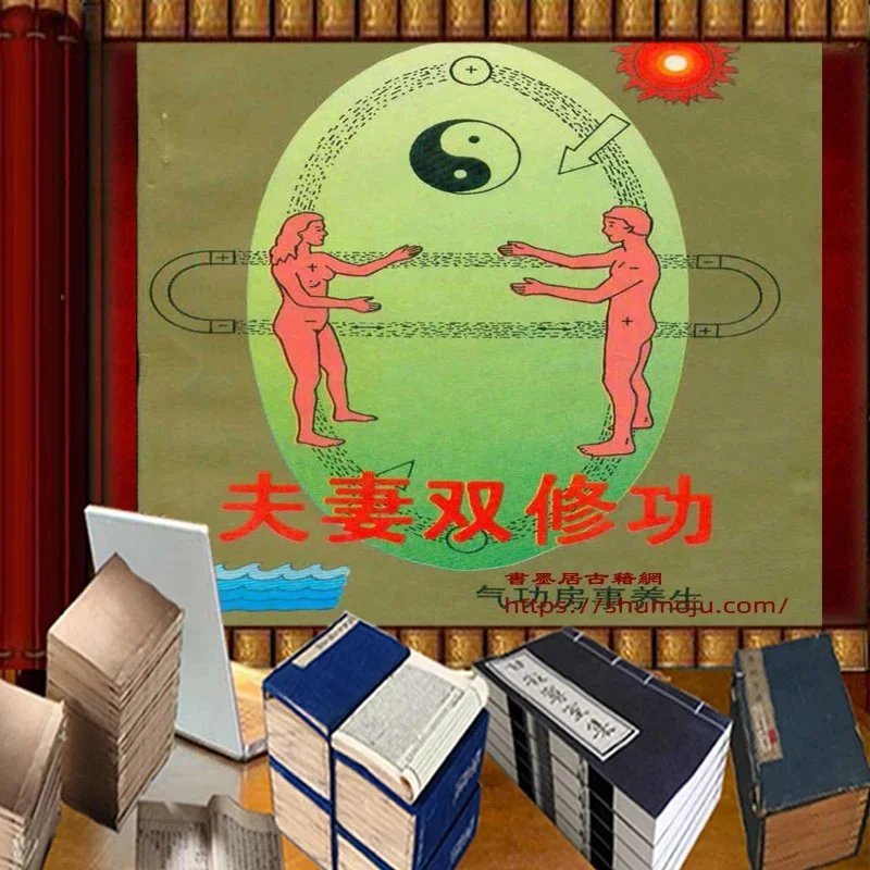夫妻双修功插图