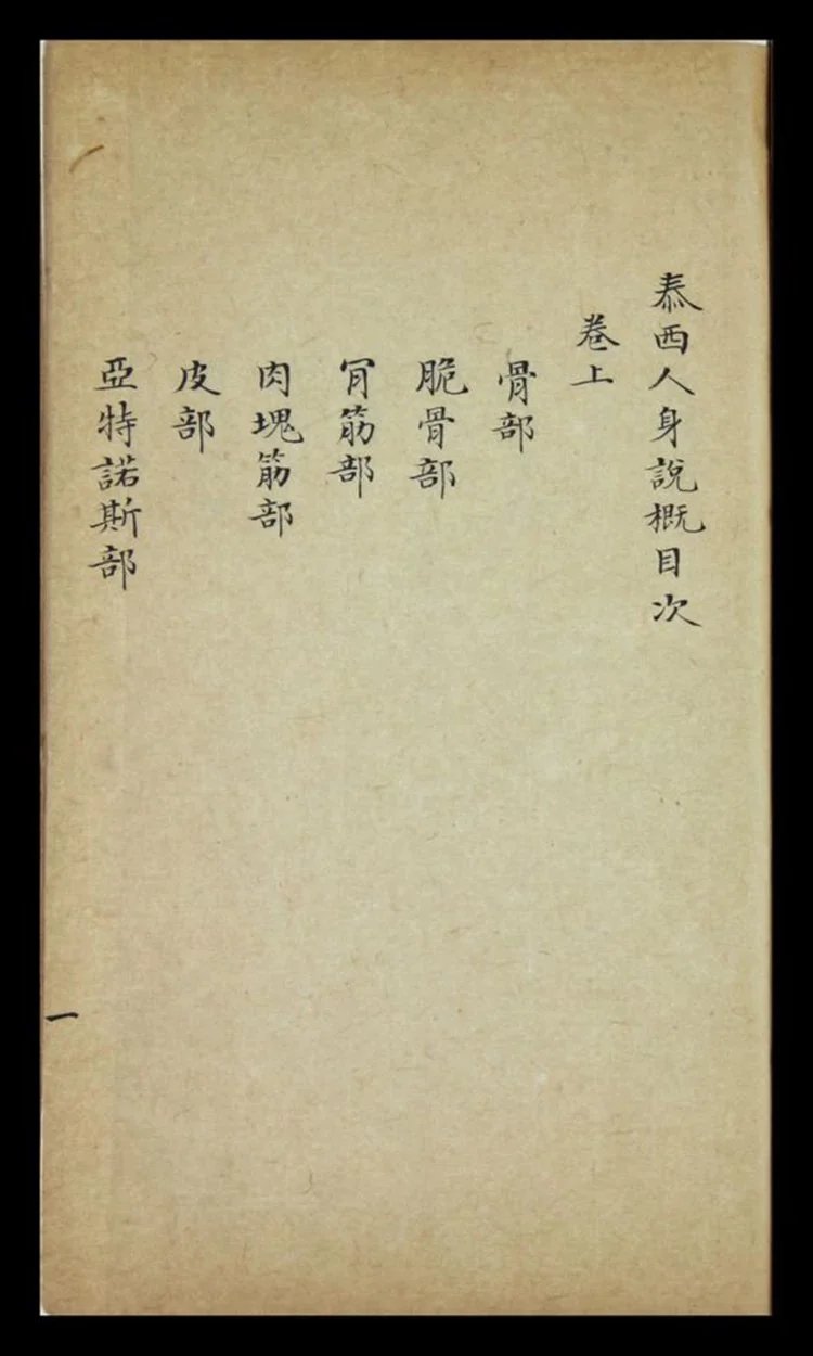 泰西人身说概 人身图说插图1