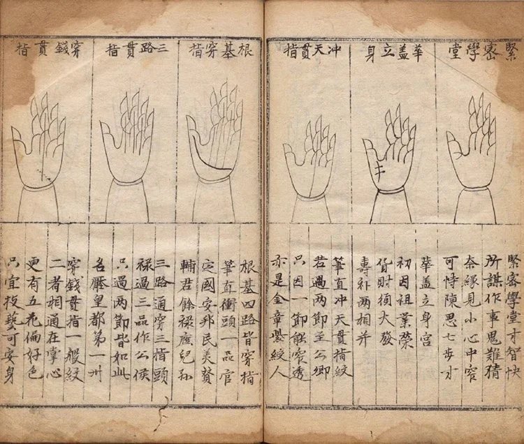 相法五总龟插图3