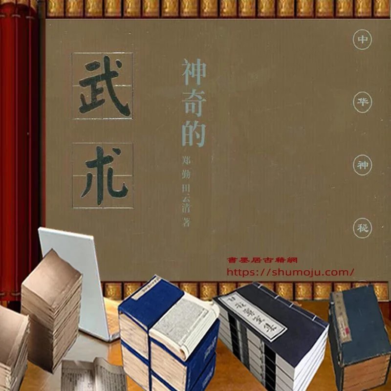 神奇的武术插图