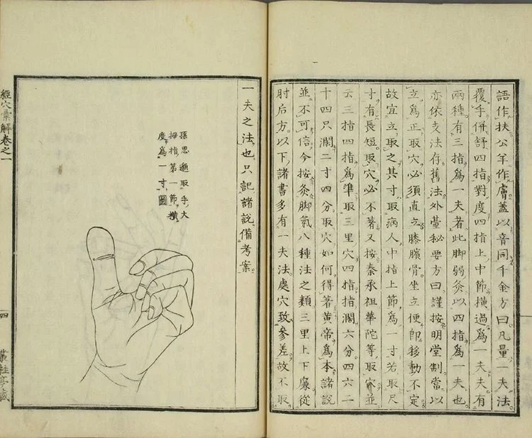 经穴汇解插图2