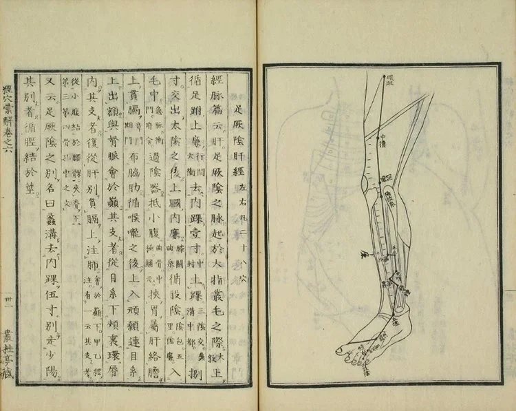 经穴汇解插图3