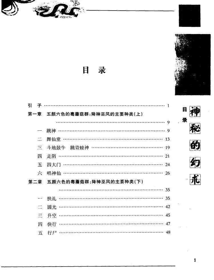 神秘的幻术插图1