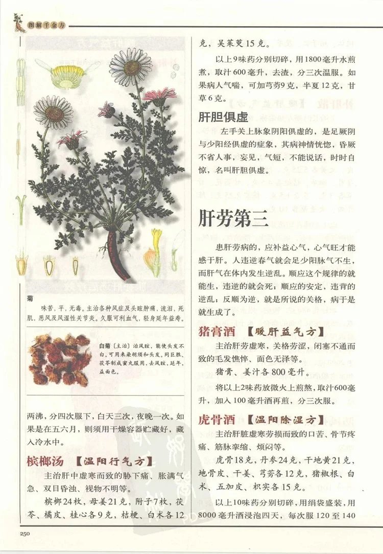 图解千金方插图3 图解千金方插图3