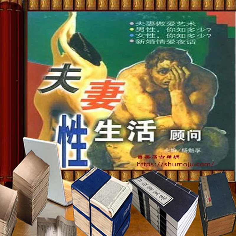 夫妻性生活顾问插图