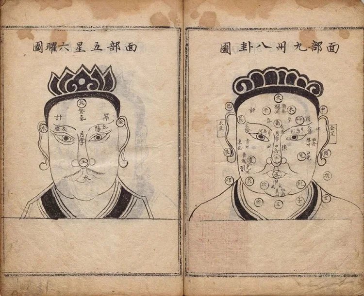 相法五总龟插图1