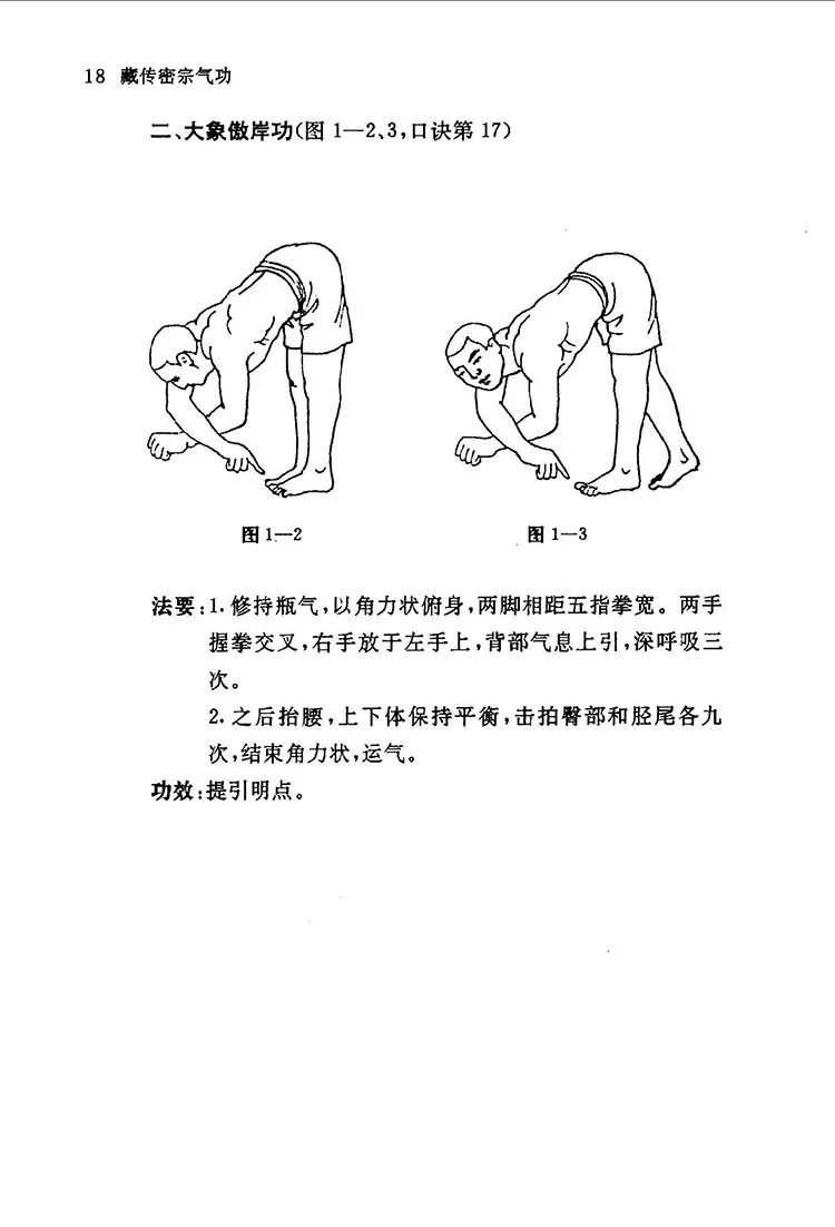 藏传密宗气功那若六成就法插图3
