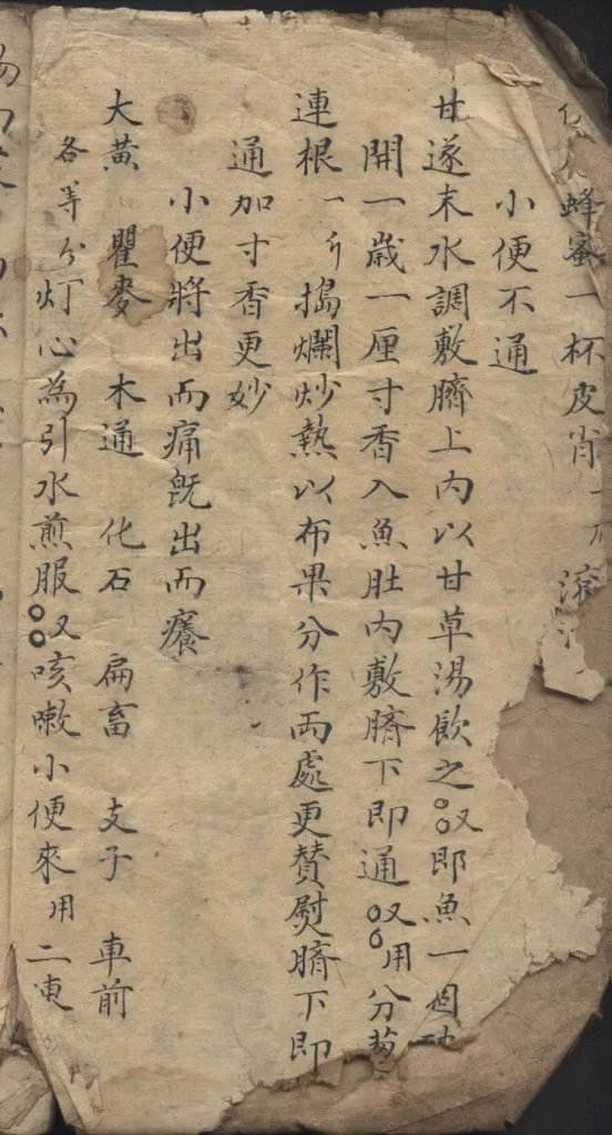 华佗秘方集卷插图2 华佗秘方集卷插图2