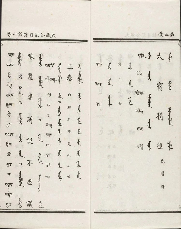 四体合璧大藏全咒插图2