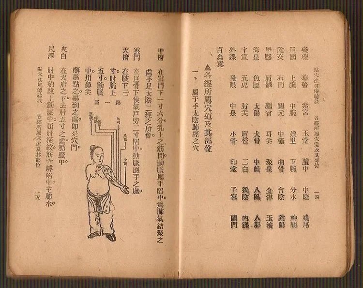点穴法真传秘诀插图3 点穴法真传秘诀插图3