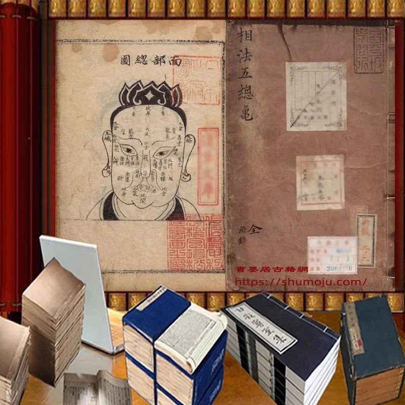 相法五总龟插图