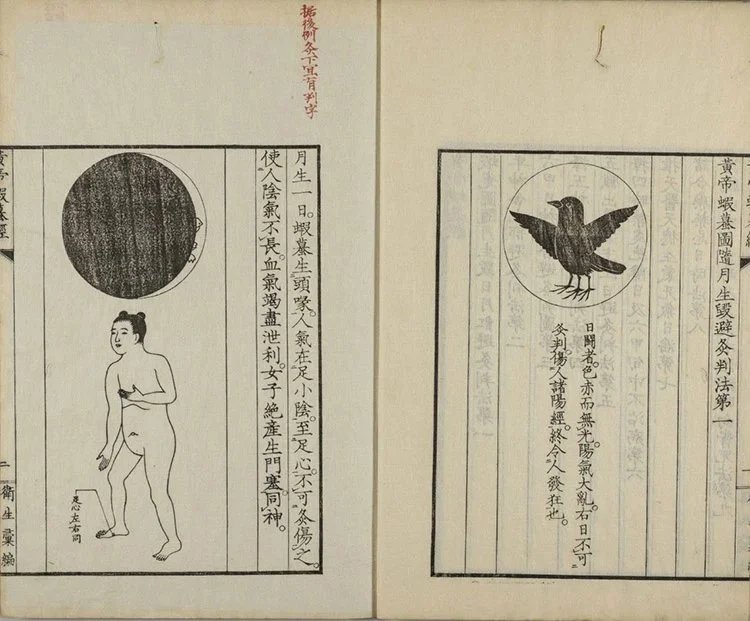 黄帝蝦蟇经 黄帝虾蟆经插图1