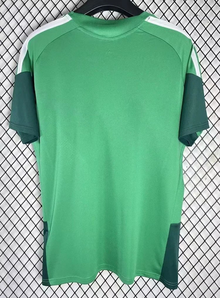 Adidas Football Jerseys Algeria Training Jersey image 3