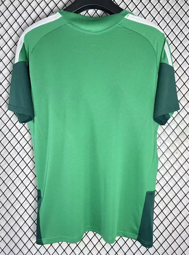 Adidas Football Jerseys Algeria Training Jersey product detail image 3