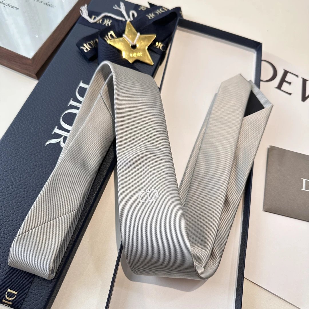 Dior Ties CD Logo 6569 — gray
