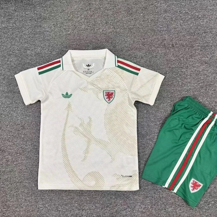 Adidas Football Jerseys Kids' short-sleeve jersey and shorts set — 39