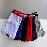 Supreme Logo-Waistband Boxer Briefs [17 styles]
