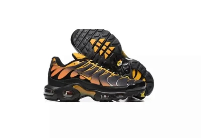 Nike Air Max Plus Tn Sneakers