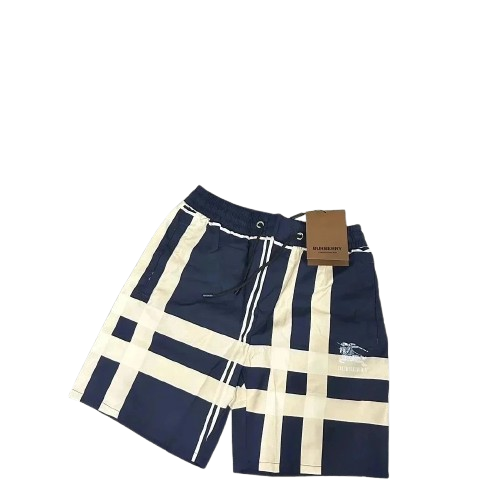 Navy and Beige Plaid Shorts