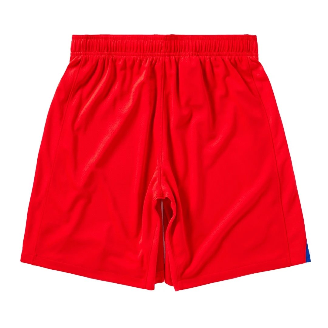 Paris Saint-Germain 2025 PSG Third Away Soccer Shorts 26 — QC