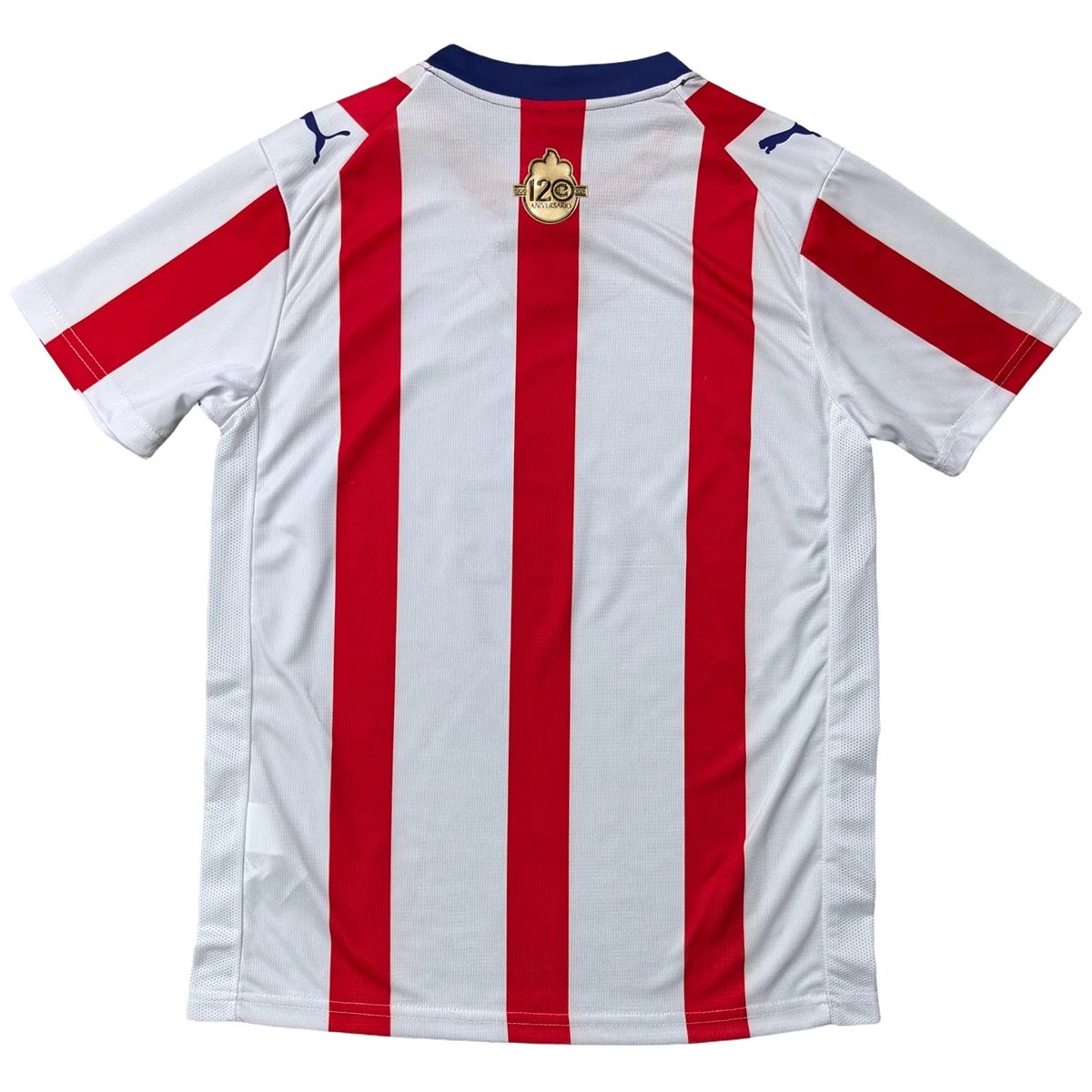 Chivas Guadalajara 2026 Special Edition Jersey — photo 4