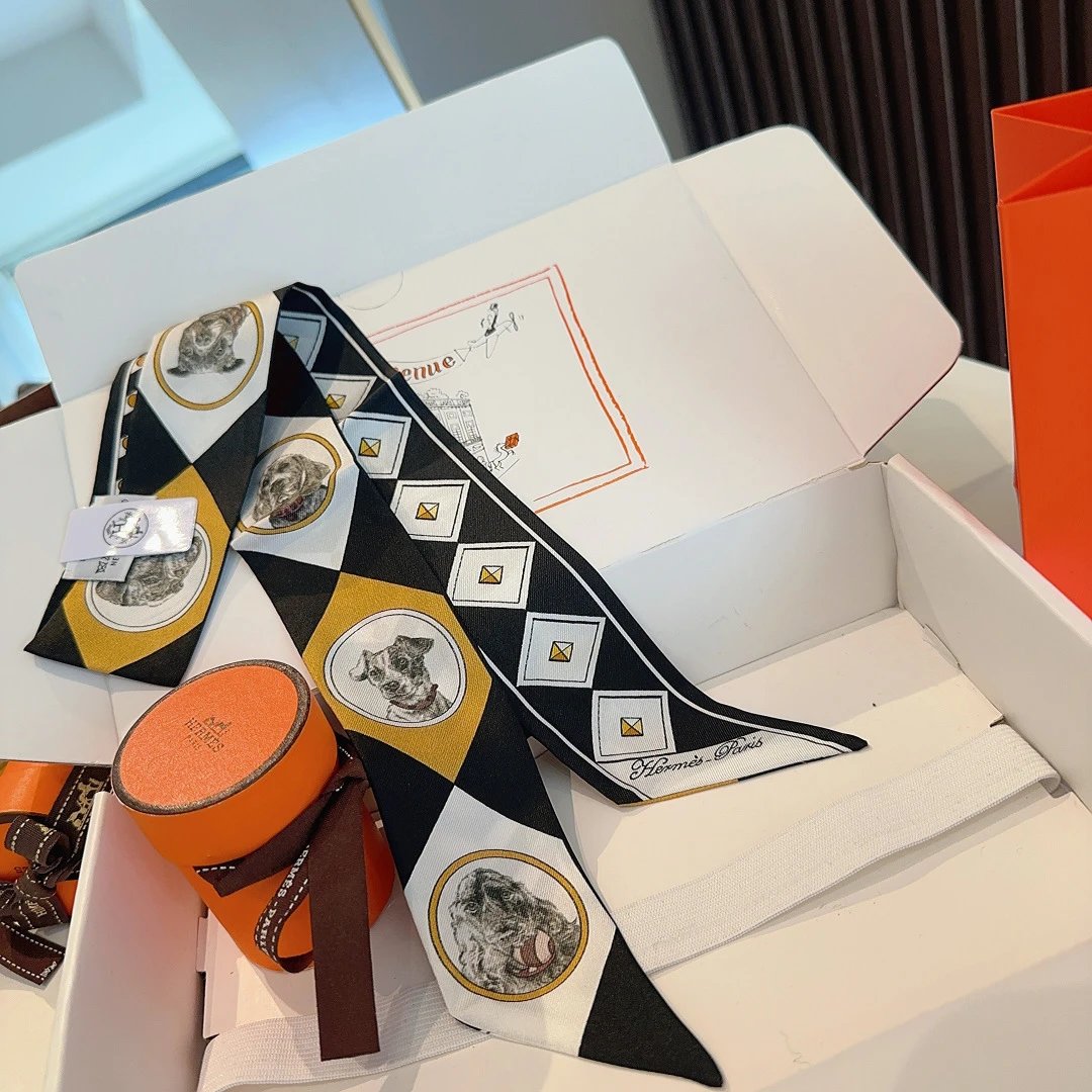 Hermes Silk Hair Ribbon Ver.F — Photo 4