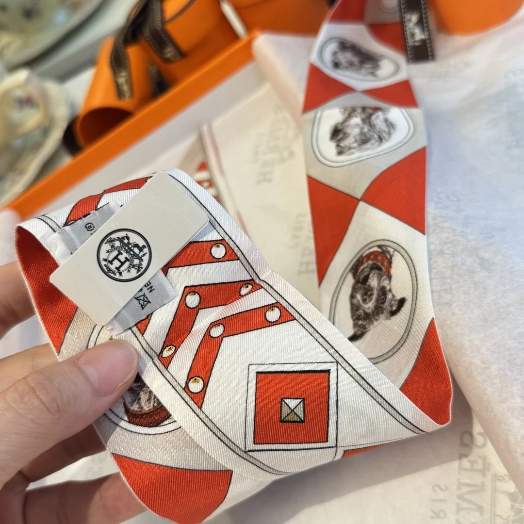 Hermes Silk Hair Ribbon Ver.E — QC