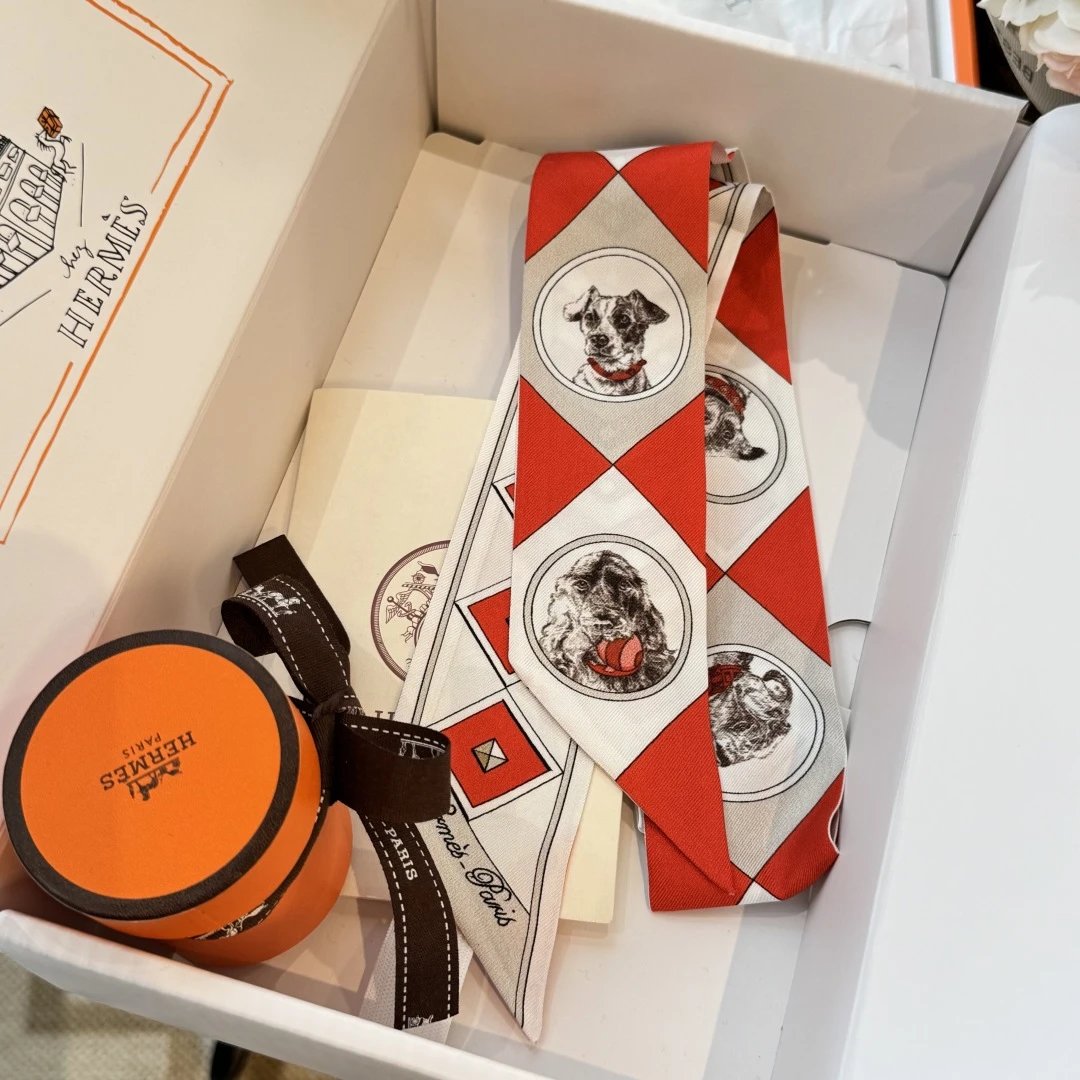 Hermes Silk Hair Ribbon Ver.E — QC